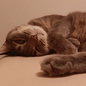 ♡Poshmark Ambassador♡